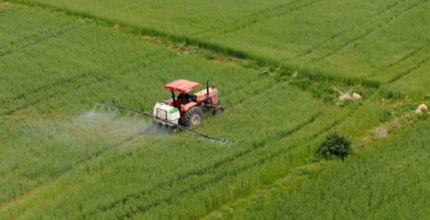 Tarımsal Destek Ödemesi Bugün Hesaplara Aktarılacak