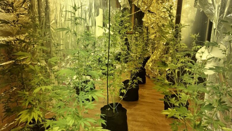  Aranan Hükümlüye Narkotik Operasyonu: Uyuşturucu İmalathanesi Ortaya Çıkarıldı