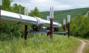 Petrol Fiyatları Turizmde Ulaşım Maliyetlerini Zorlayacak