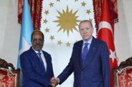 Cumhurbaşkanı Erdoğan, Somalili Mevkidaşı Mahmud ile İstanbul’da Bir Araya Geldi