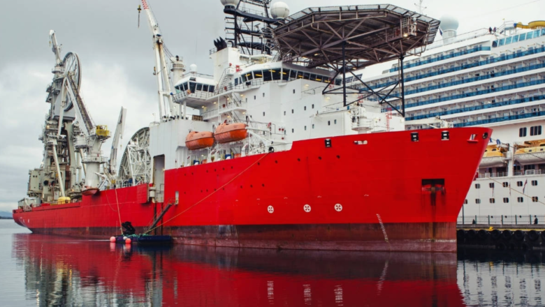  Tekirdağ’da GDO’lu Mısır İddiası Davasında Yargılama Sürüyor