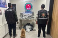 Ticaret Bakanlığı’ndan Uyuşturucu Kaçakçılığına Dev Darbe: 659 Kilo Madde Ele Geçirildi
