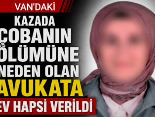 Kazada çobanın ölümüne neden olan avukata ev hapsi verildi