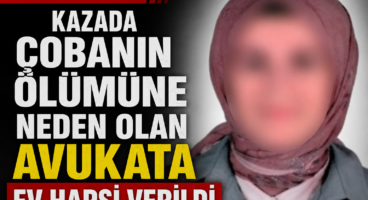 Kazada çobanın ölümüne neden olan avukata ev hapsi verildi