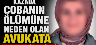 Kazada çobanın ölümüne neden olan avukata ev hapsi verildi