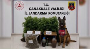 18 İlde Uyuşturucu Operasyonu: 59 Tutuklama