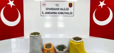 Diyarbakır’da Uyuşturucu Operasyonu: 144 Kilogram Toz Esrar Ele Geçirildi