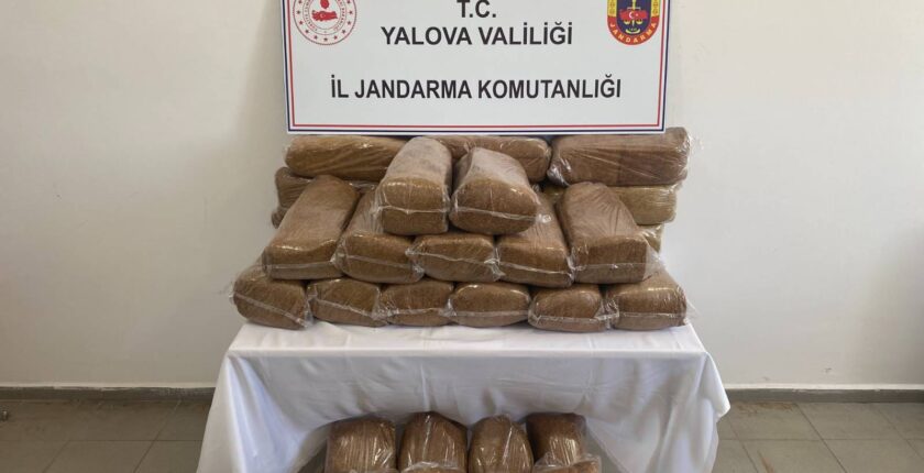 Yalova’da Jandarma Operasyonunda Bandrolsüz Tütün Ele Geçirildi