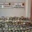 İki İlde Dev Uyuşturucu Operasyonu: 265 Kilogram Skunk Ele Geçirildi