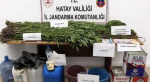 Dörtyol’da Kenevir Operasyonu