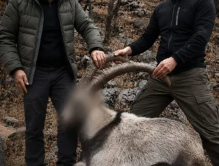 Siirt’te 5 Yaban Keçisini Yasa Dışı Avlayanlara Ceza Kesildi